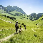 De Loy Oy16 Nature & Mountain 4 Pers Apartment *